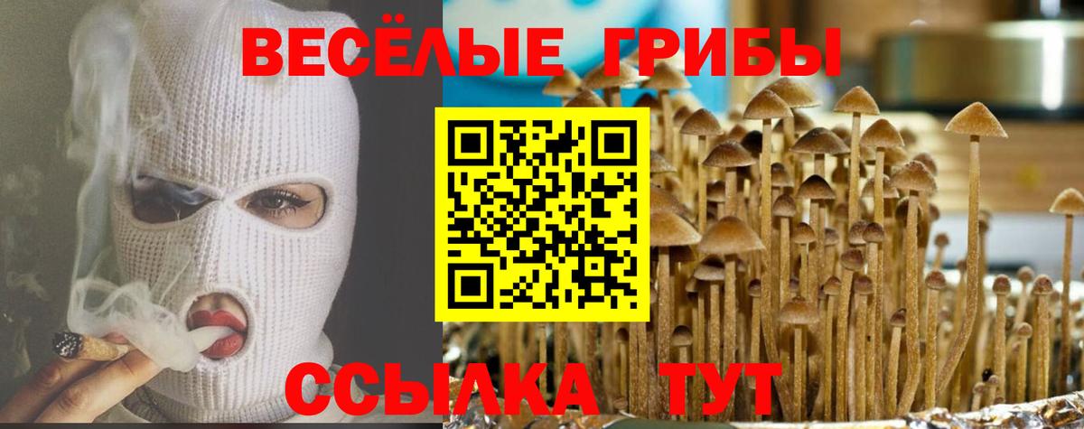 Галлюциногенные грибы мицелий  Вход с VPN  Янаул  Галлюциногенные грибы MAGIC MUSHROOMS 